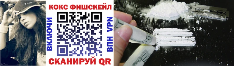 Купить закладки  Окуловка  Кокаин FishScale 