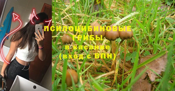 соль ск Володарск